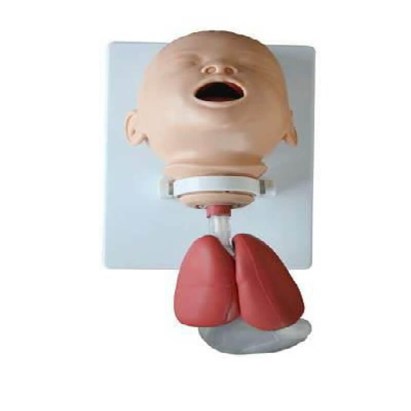 Modelo de intubación de recién nacidos